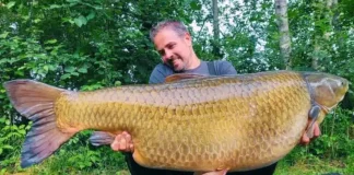 Un nouveau record du monde signé Thibaut Perrier