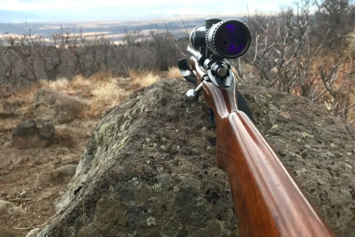 Carabine-de-chasse