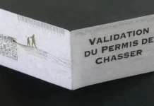 Permis de chasser : une nouvelle hausse des tarifs pour la saison 2025-2026