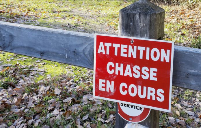 attention-chasse-article-tt-width-1200-height-900-fill-0-crop-1-bgcolor-ffffff