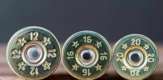 Plomb à la Chasse : Faut-il Vraiment s’y Accrocher?