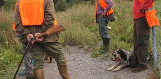 Chasse et nouvelles lois : ce qui va changer en 2026
