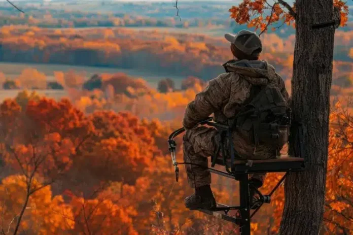 chasseBehindthescenes