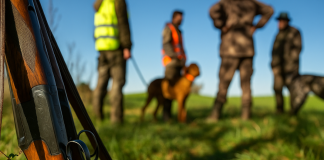 Permis de Chasse : Comment le Renouveler au Meilleur Prix en 2026 ?