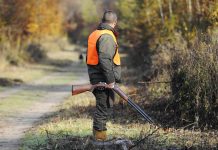 Pourquoi la Chasse Suscite Encore Autant de Débats en France