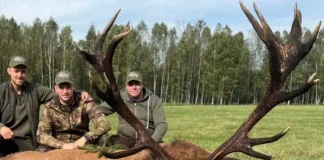 Des trophées de cerfs hors normes : une série de vidéos impressionnante