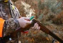 🎯 Quiz : 12 questions pièges pour les chasseurs