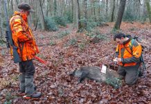 Quiz : connaissez-vous les lois de la chasse?
