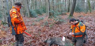 Quiz : connaissez-vous les lois de la chasse?