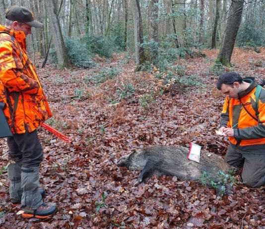 Quiz : connaissez-vous les lois de la chasse?