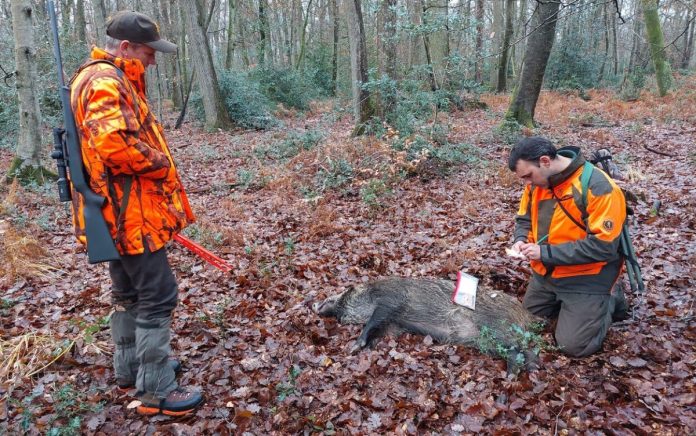 Les lois de la chasse