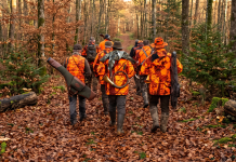 Chasse en France : Une Saison Meurtrière Relance la Colère Face aux « Victimes Collatérales »