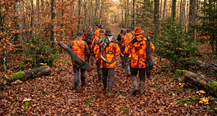 chasse sujet